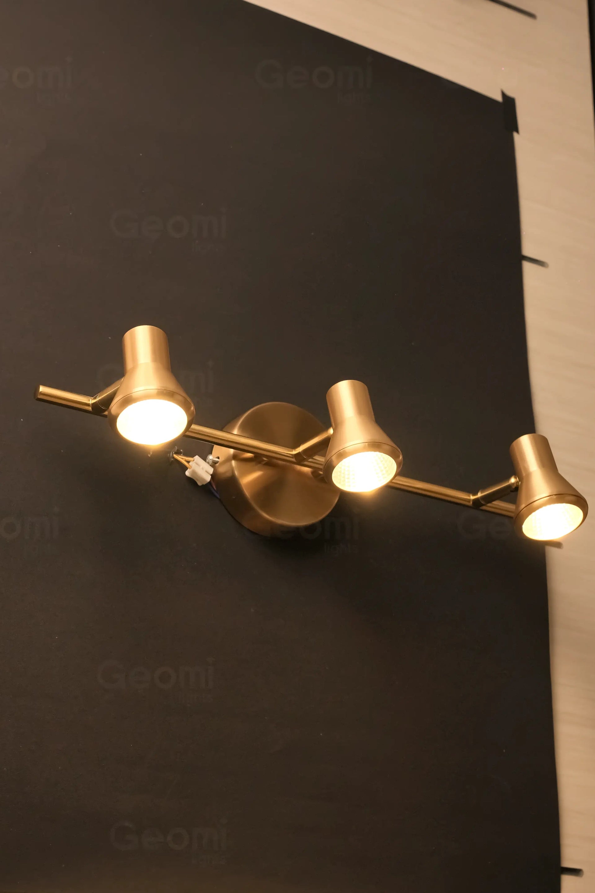 Lx485   mirror light